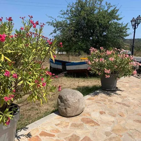 Apartament нели