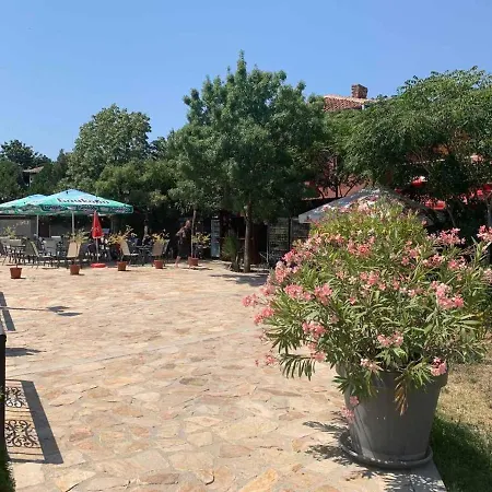Apartament нели