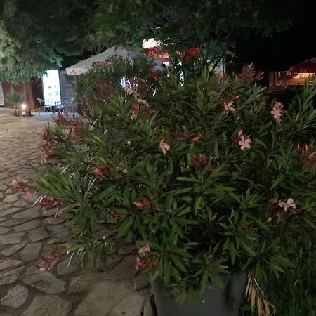 нели 아파트 *