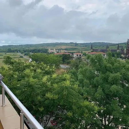 нели * Ravadinovo