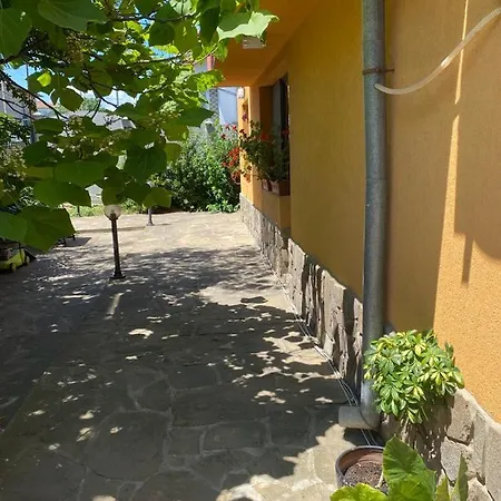 нели Apartment *