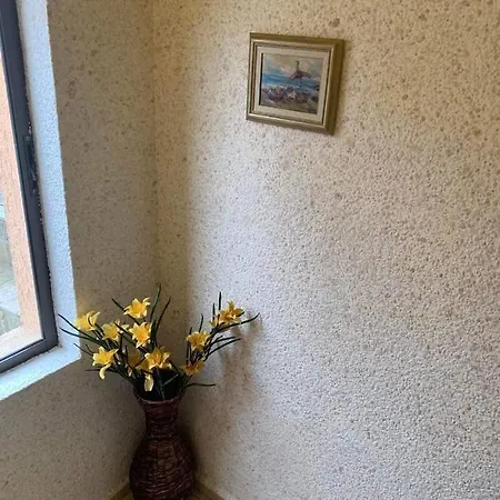Διαμέρισμα нели