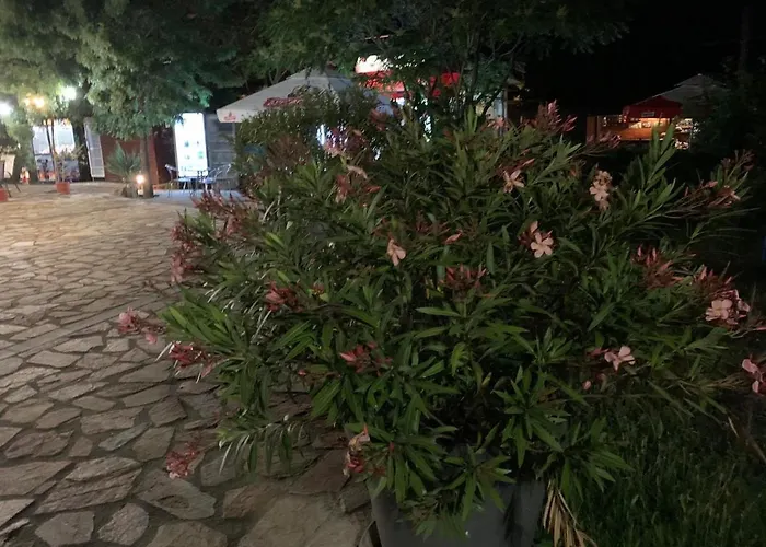 нели Апартамент *