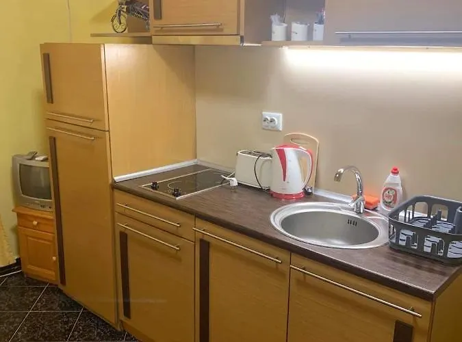 Апартамент нели *